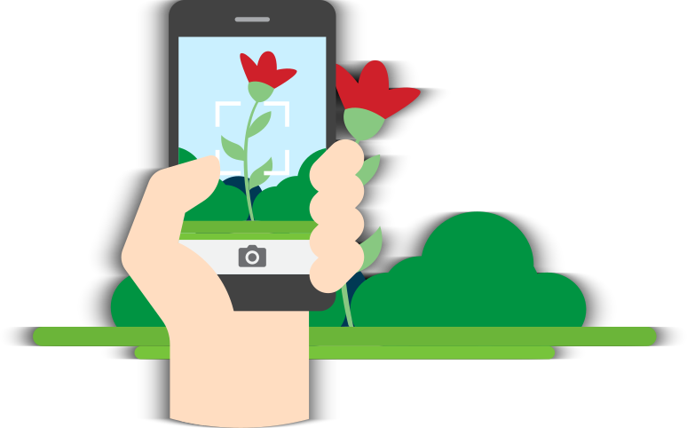 【id-plants】 Plant.id - Plant identification app